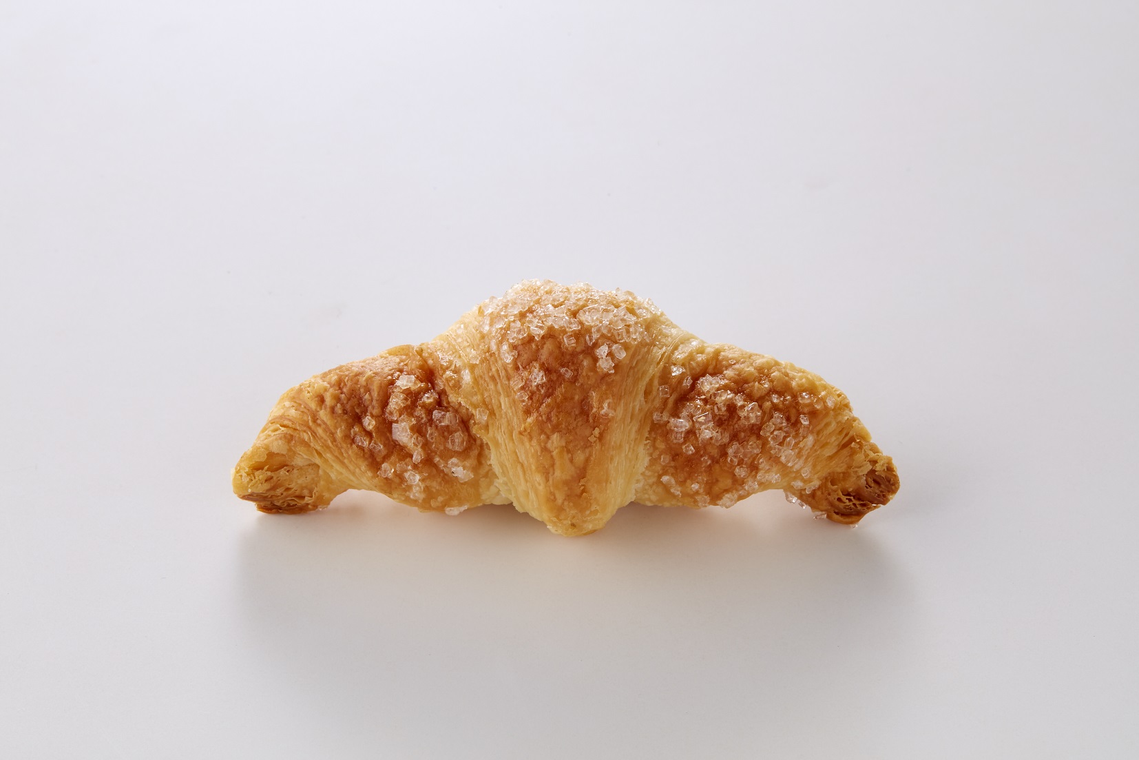 クロワッサンさん専用 クロワッサンとサンドイッチ ニューバード